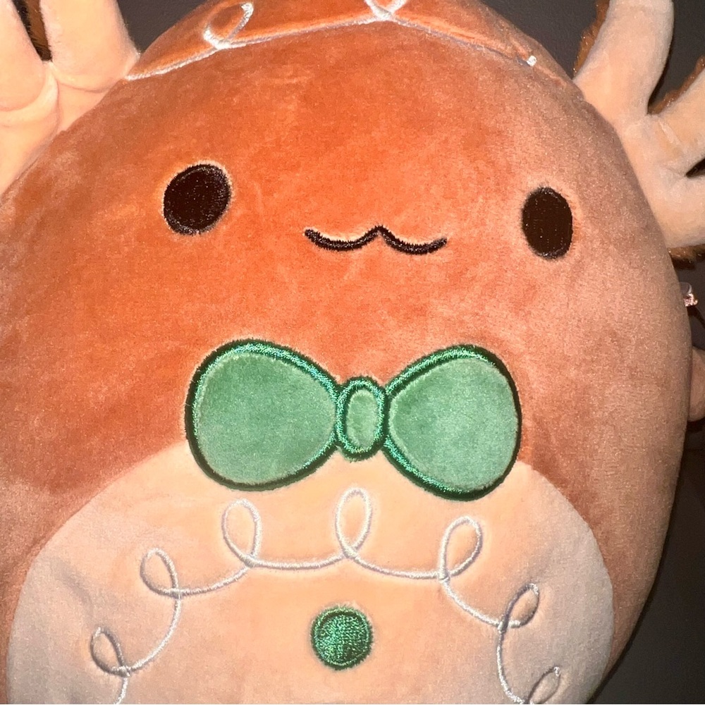 NWT ๐ฅ 8" Den the Gingerbread Axolotl Squishmallow - Picture 2 of 5
